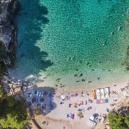 Front In With Wifi * Pula